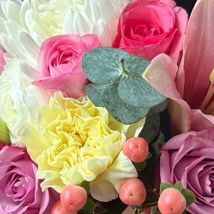 Meet your Posher, Isabella